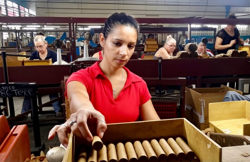 tabacos fabrica 03.jpg
